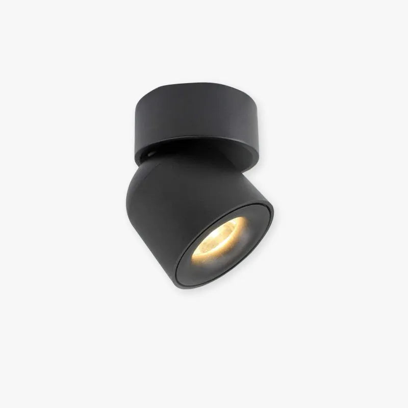 Aim Spotlight Modern LED Flush Mount Ceiling Light, Black/White