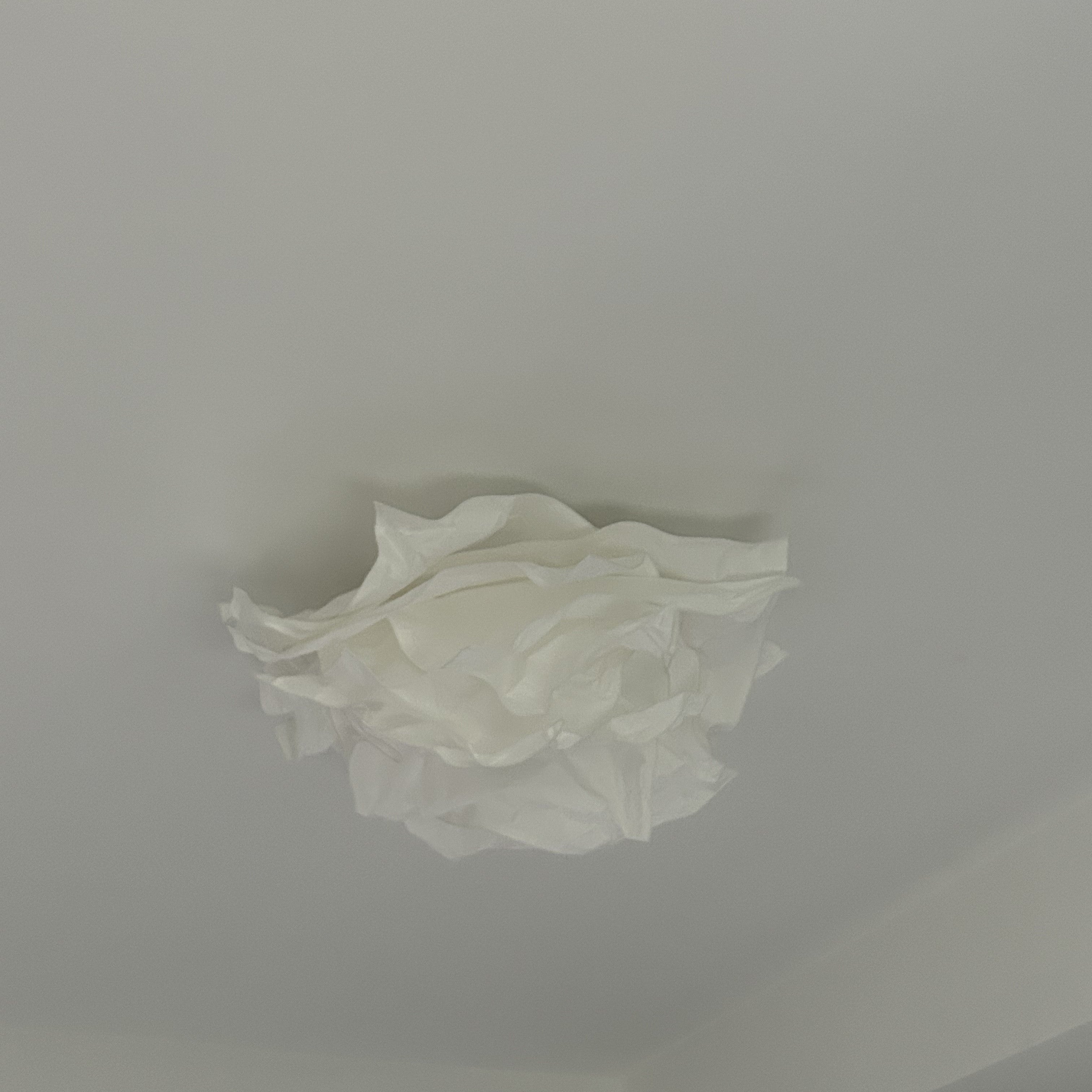 Ritta Flush Mount Ceiling Light Design Flower Natural Paper