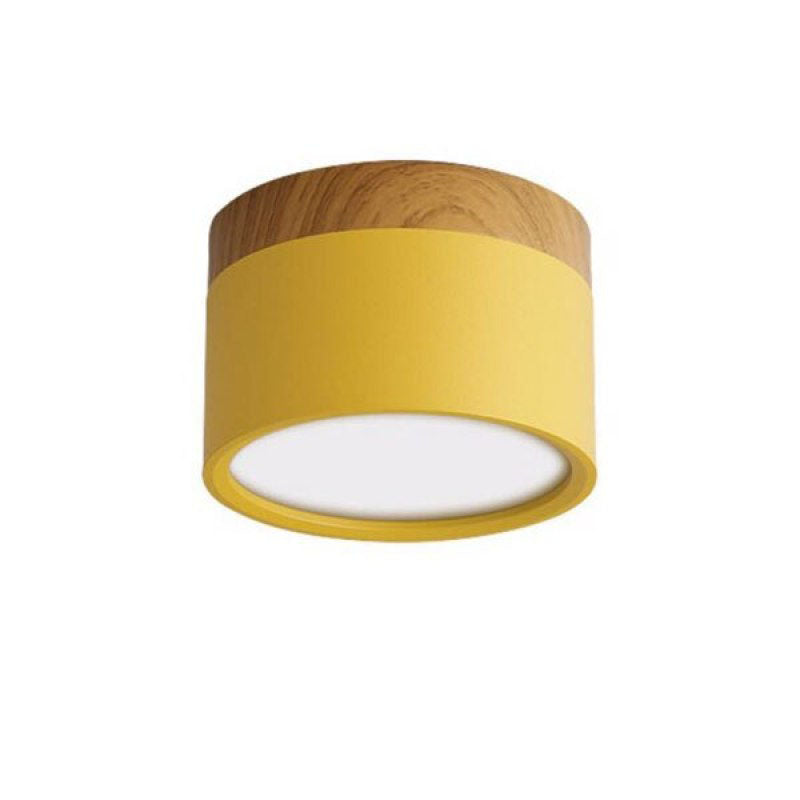Valentina Modern Cylindrical Metal/Acrylic Flush Mount Ceiling Light