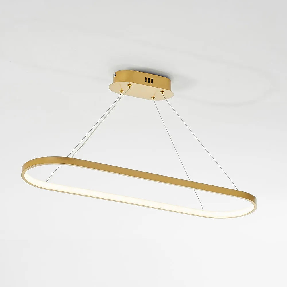 Arisha Minimalist Oval Interior Hanging Pendant Light