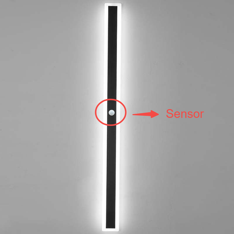 Ray Linear Metal LED Outdoor Wall Lamp, Black/White