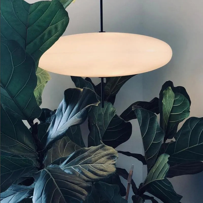 Ritta Nordic Modern Oval Single Pendant Light