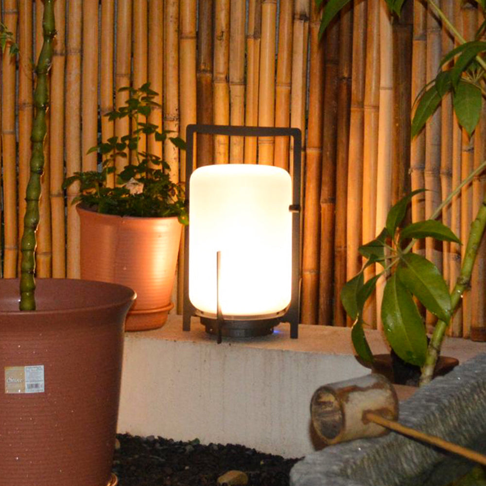 Ray Minimalist Glass/Acrylic Outdoor Landscape Pathway Light, White