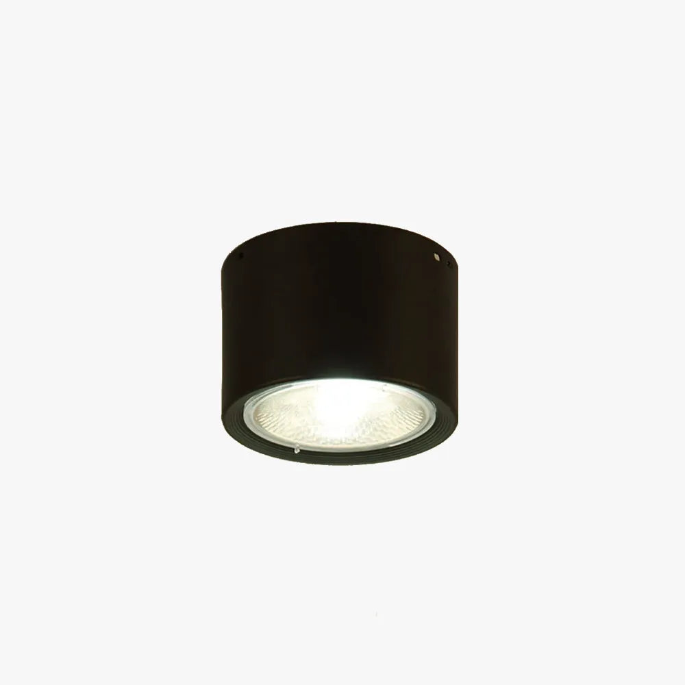 Arisha Modern Round Flush Mount Ceiling Light, Wood/Black, Living Room
