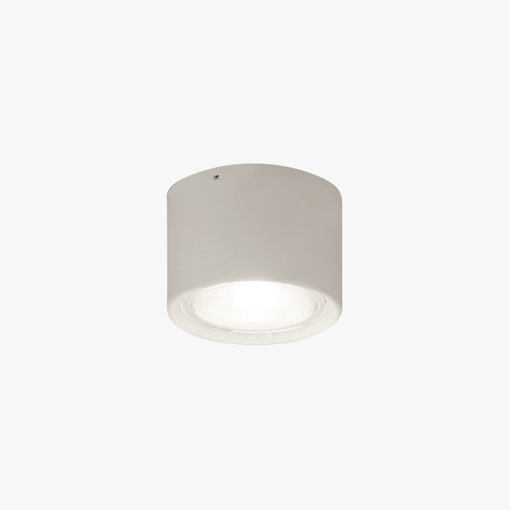 Arisha Modern Round Flush Mount Ceiling Light, Wood/Black, Living Room
