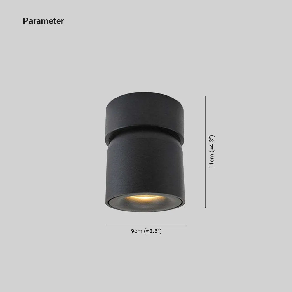 Aim Spotlight Modern LED Flush Mount Ceiling Light, Black/White