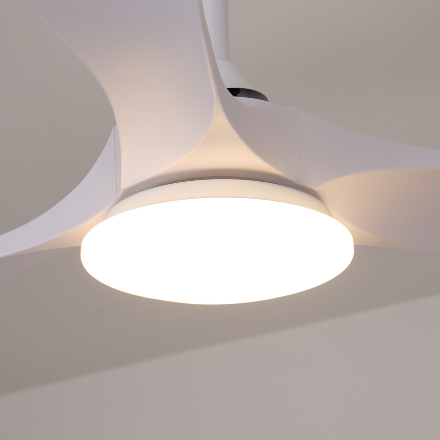 Aveline Modern Wood Ceiling Fan Light - Letslighting