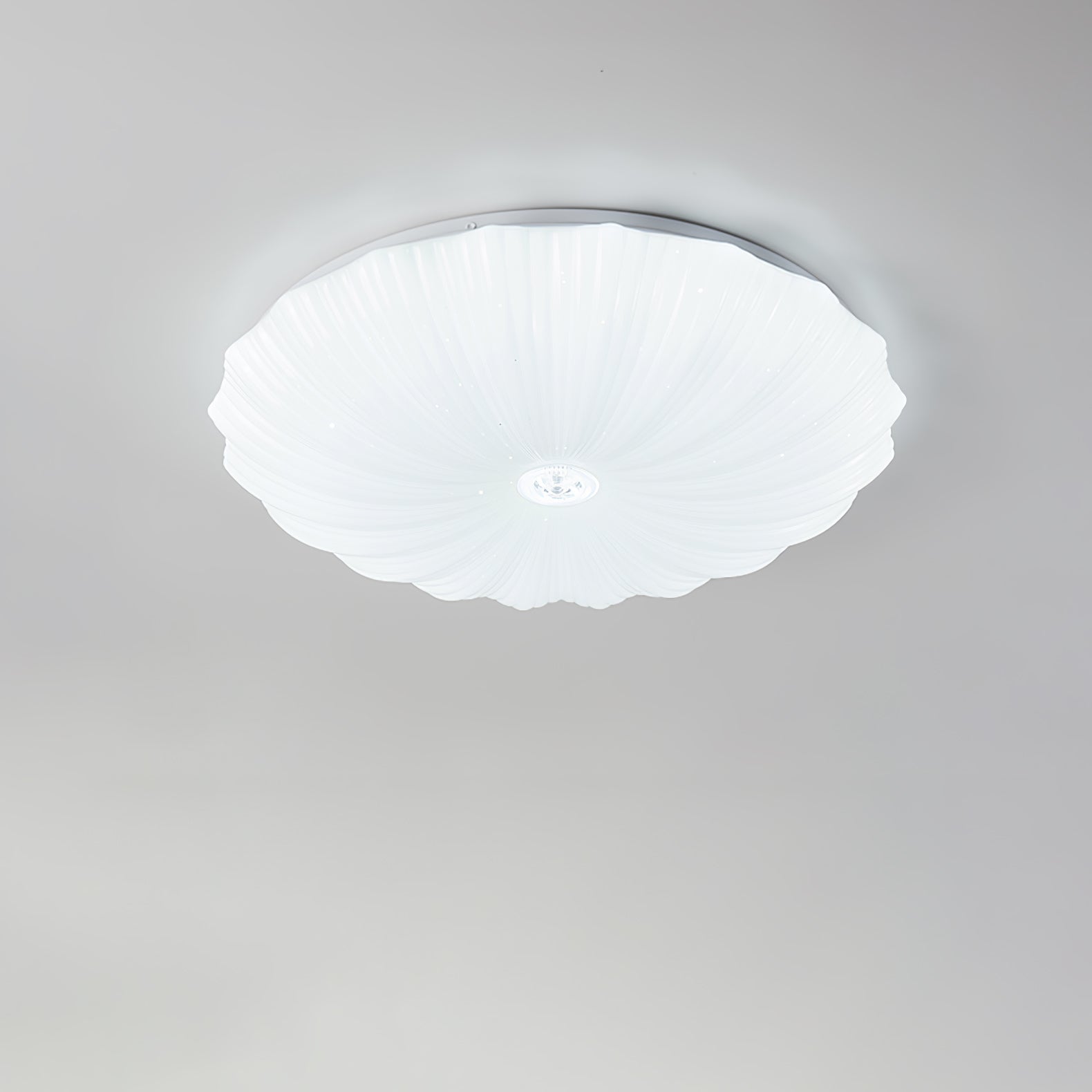 Coloria Nordic Art Shell Round Ceiling Lamp - Letslighting