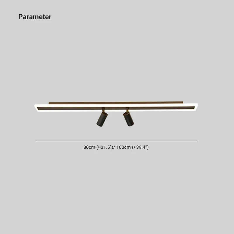 Aim Minimalist Double-linear Ceiling Light Spotlight, Black