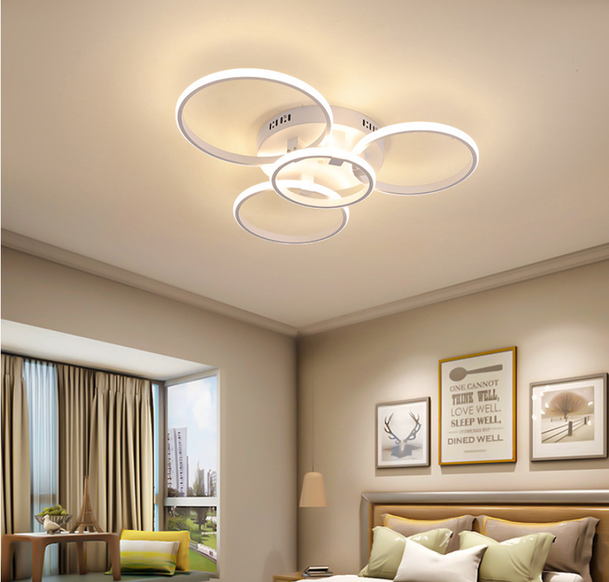 Arisha LED Ceiling Light Circle Ring, Black & White