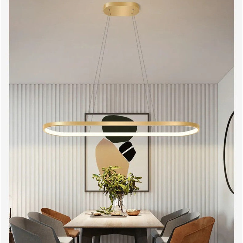 Arisha Minimalist Oval Interior Hanging Pendant Light
