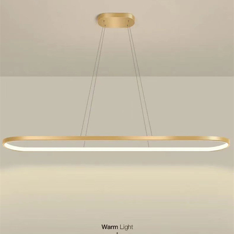 Arisha Minimalist Oval Interior Hanging Pendant Light
