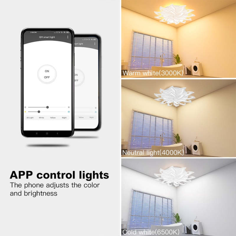 Arisha Elegant Flower Flush Mount Ceiling Light, White/Black