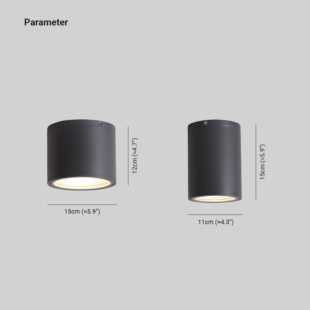 Ray Modern Black Cylindrical Flush Mount Ceiling Light Spotlight