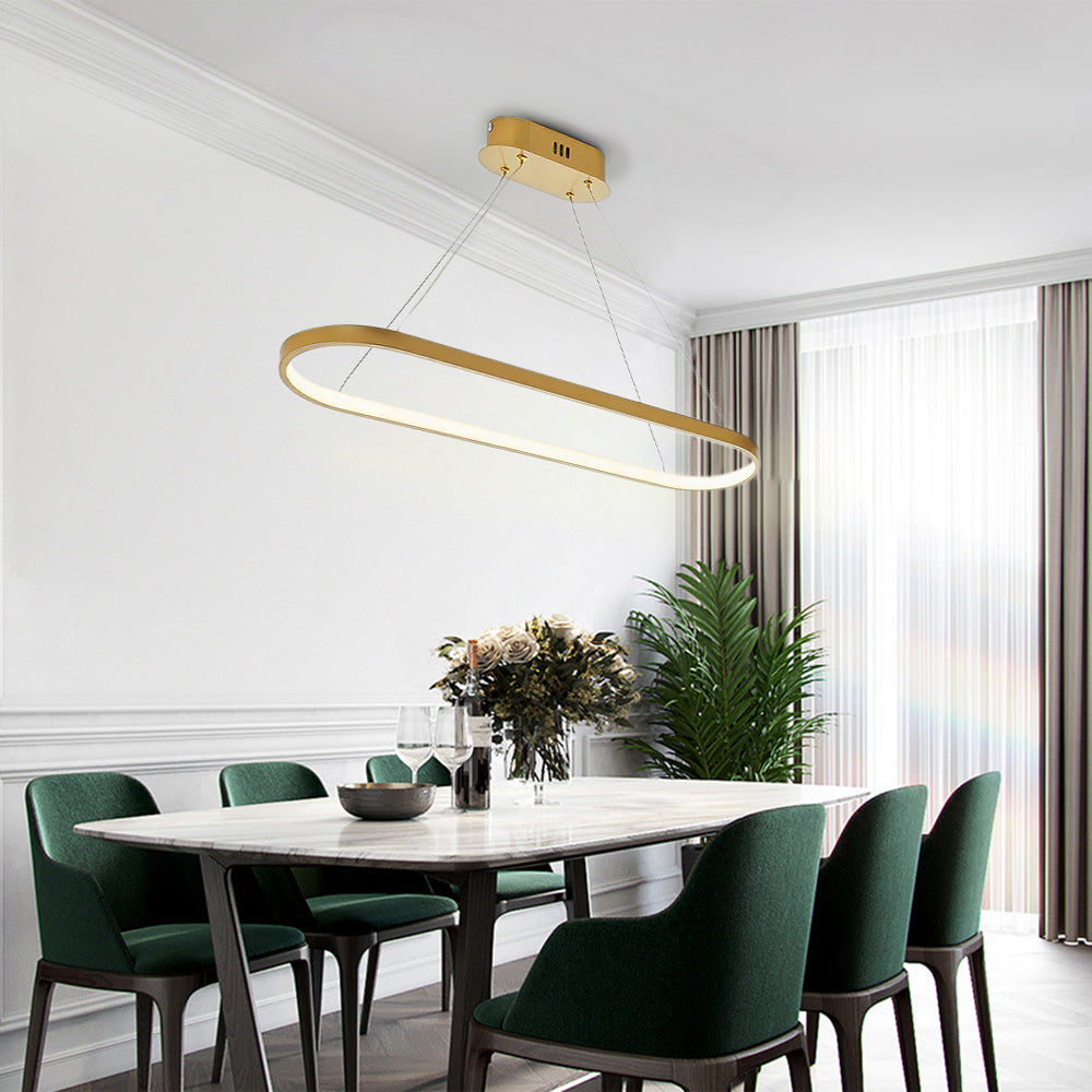 Arisha Minimalist Oval Interior Hanging Pendant Light