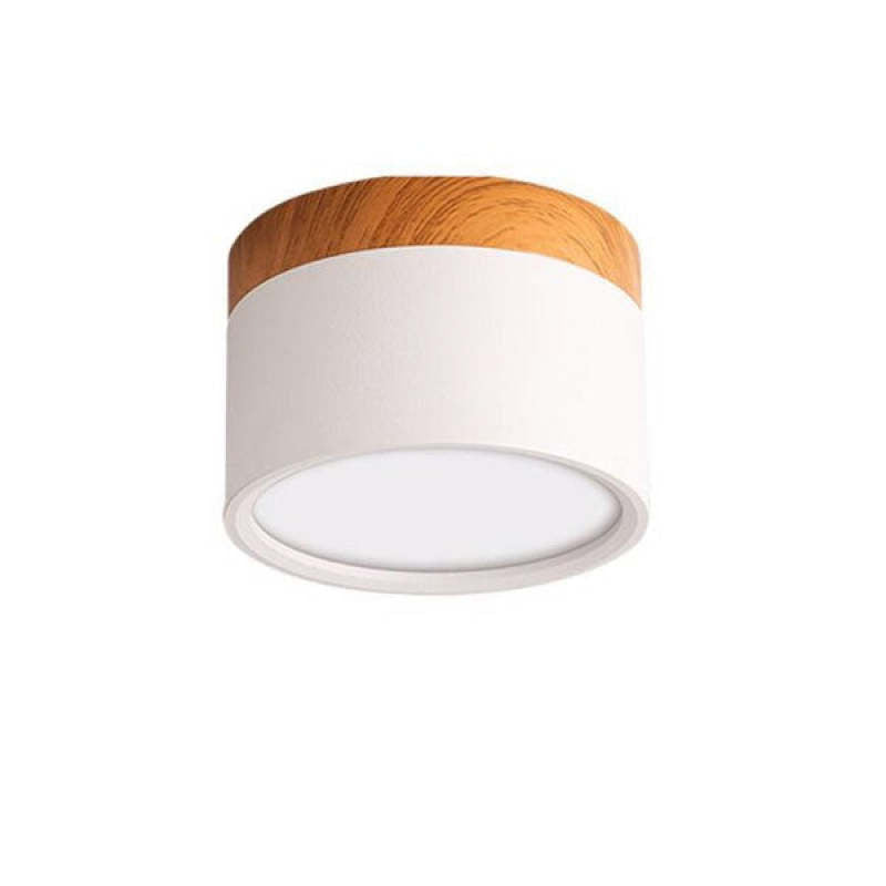 Valentina Modern Cylindrical Metal/Acrylic Flush Mount Ceiling Light