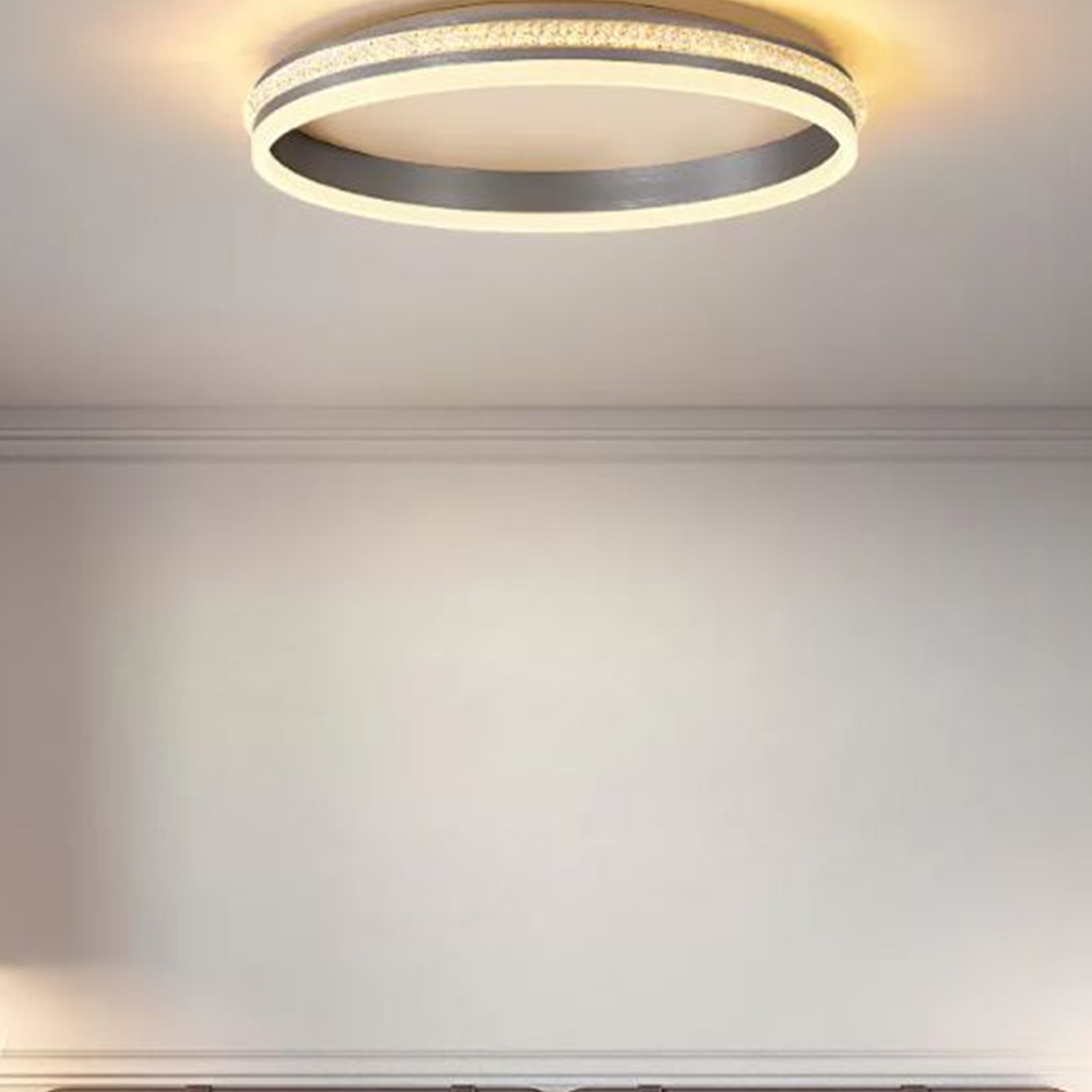 Arisha Modern Ring Metal/Acrylic Flush Mount Ceiling Lights, Silver
