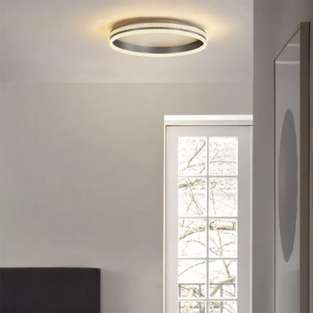 Arisha Modern Ring Metal/Acrylic Flush Mount Ceiling Lights, Silver