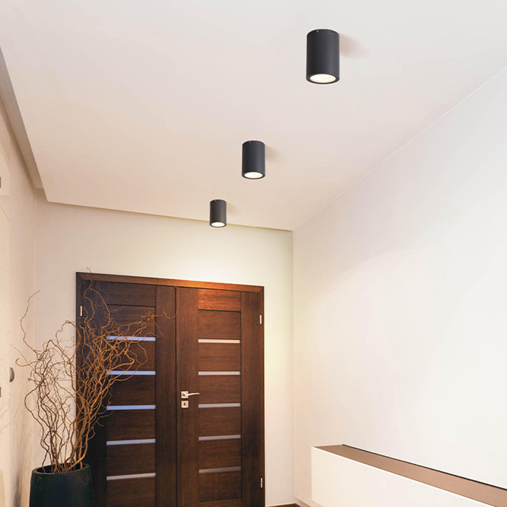 Ray Modern Black Cylindrical Flush Mount Ceiling Light Spotlight