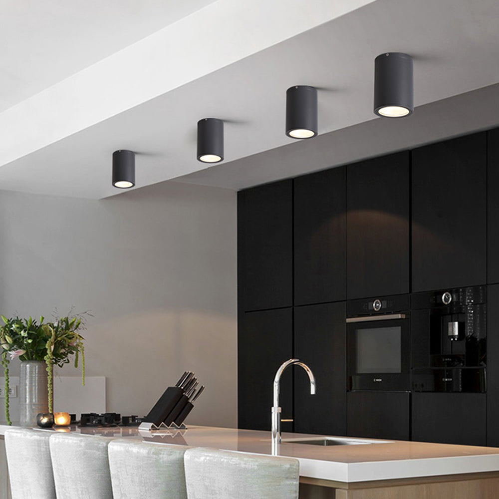 Ray Modern Black Cylindrical Flush Mount Ceiling Light Spotlight