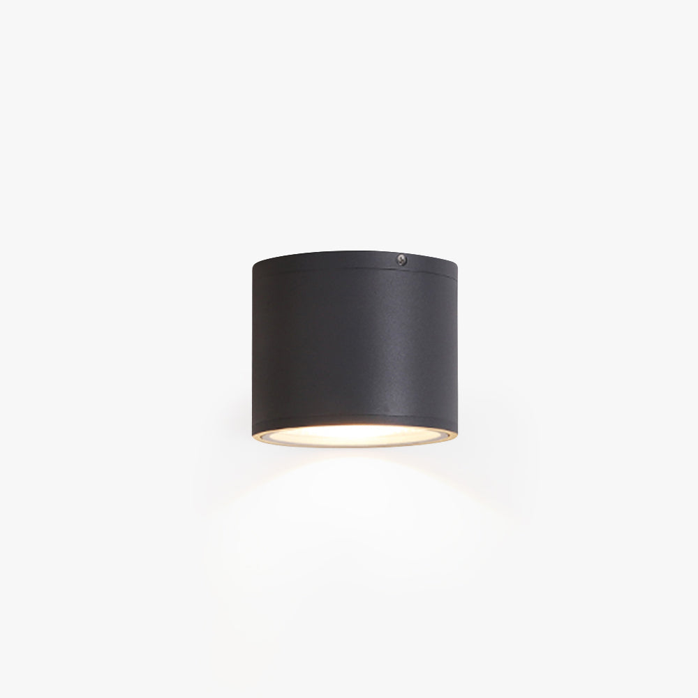 Ray Modern Black Cylindrical Flush Mount Ceiling Light Spotlight