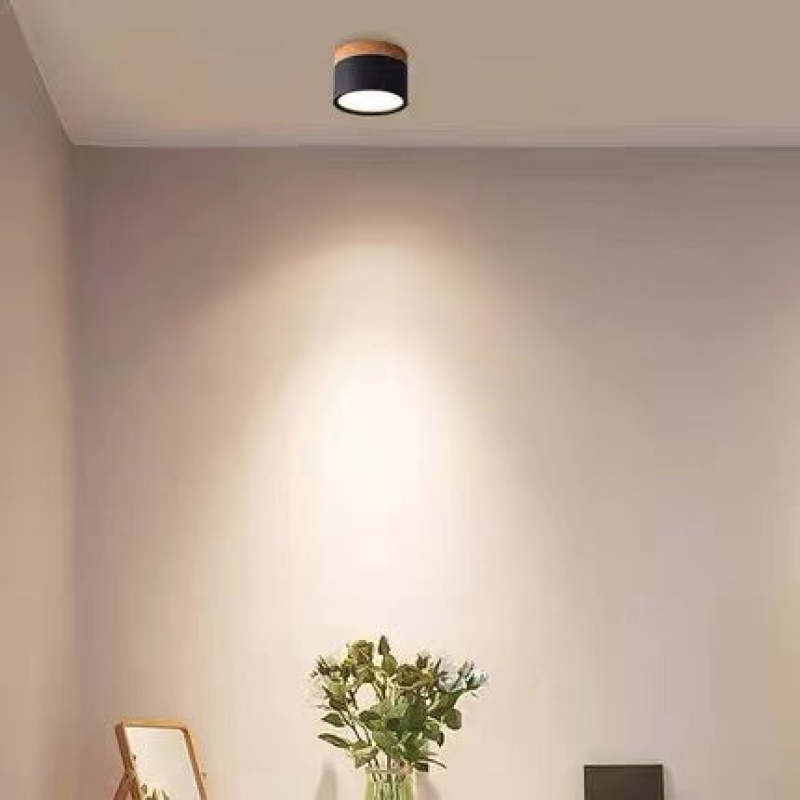Valentina Modern Cylindrical Metal/Acrylic Flush Mount Ceiling Light