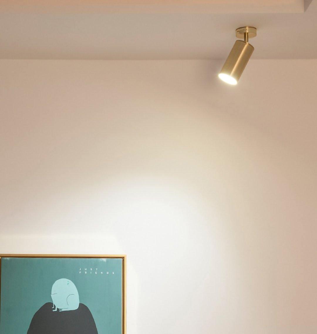 Grover Applique Murale Projecteur Laiton Orientable - Neutralighting