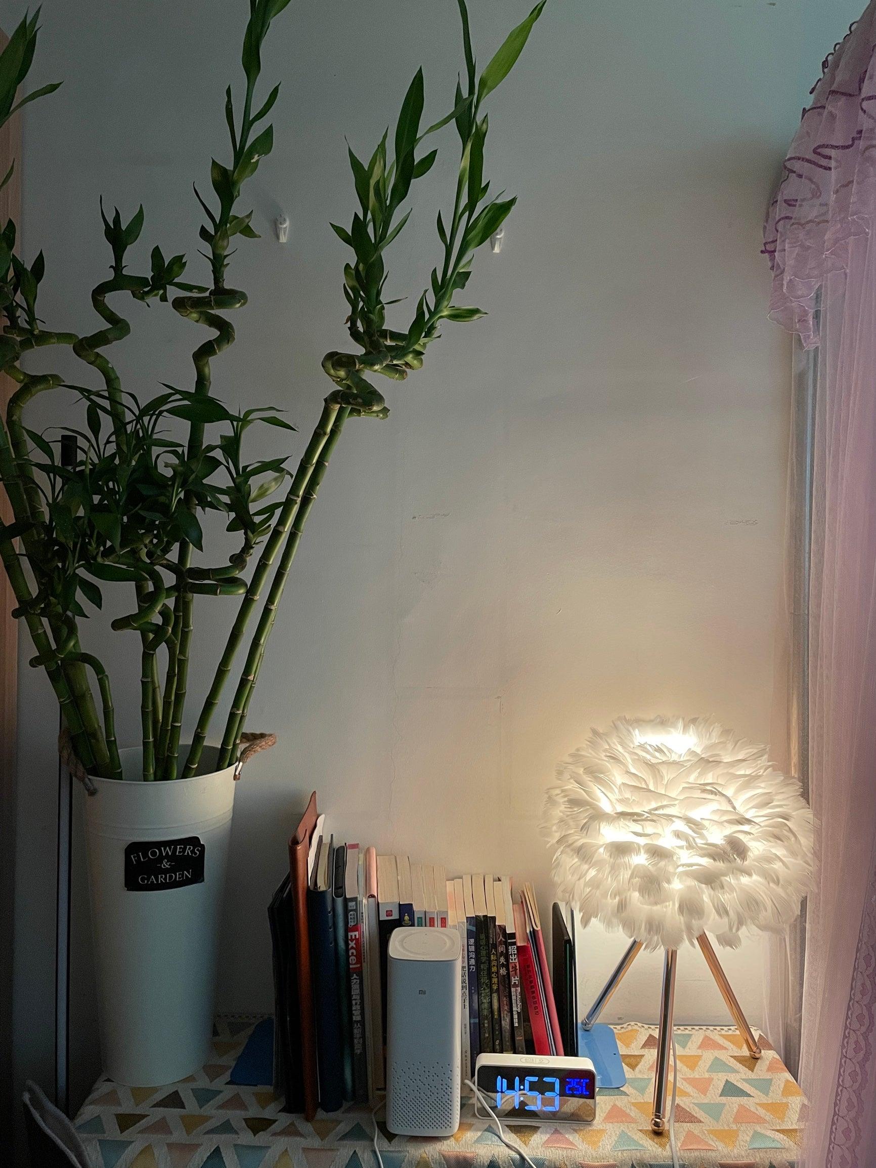 Nilo Feather Feminine Table Lamp - Letslighting