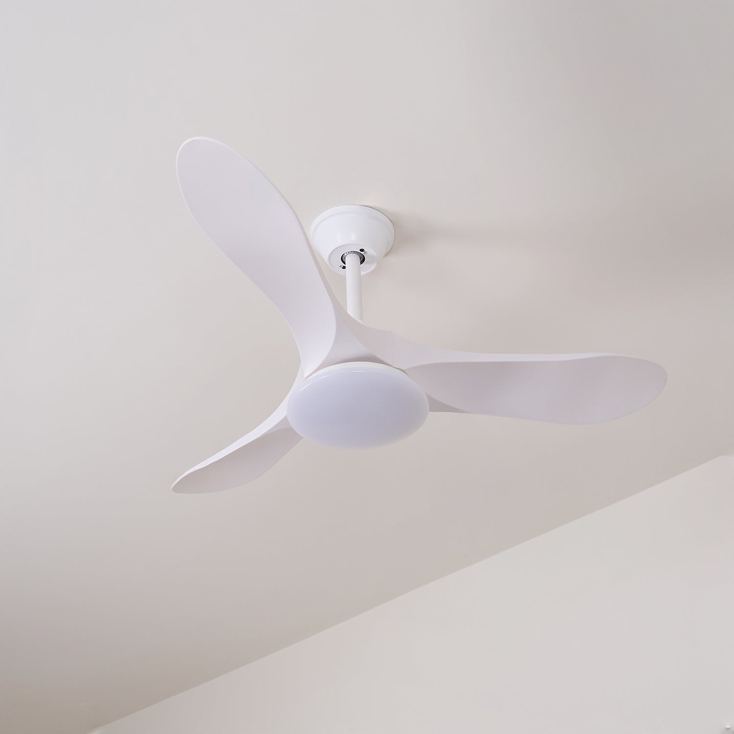 Aveline Modern Wood Ceiling Fan Light - Letslighting