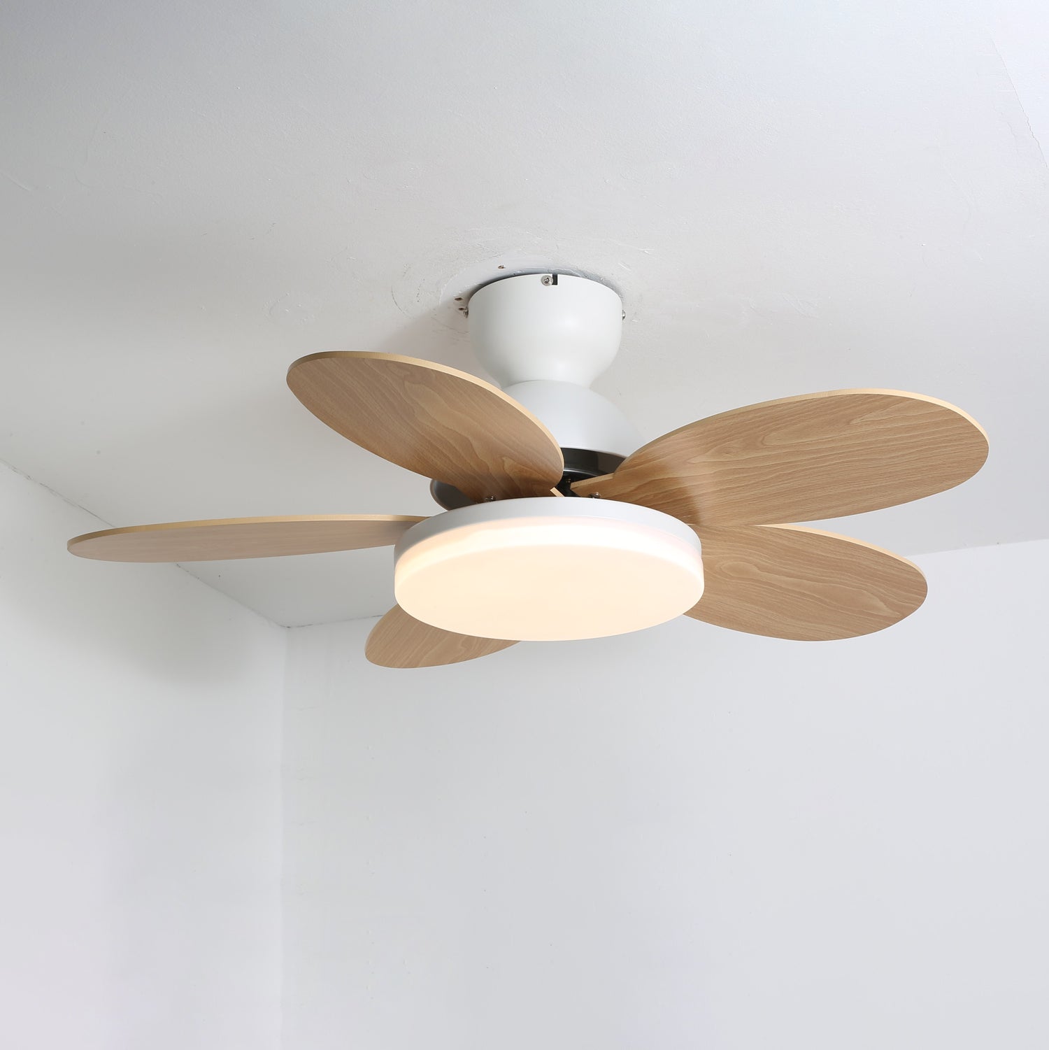 Liora Colorful Glass Kids Ceiling Fan Light - Letslighting