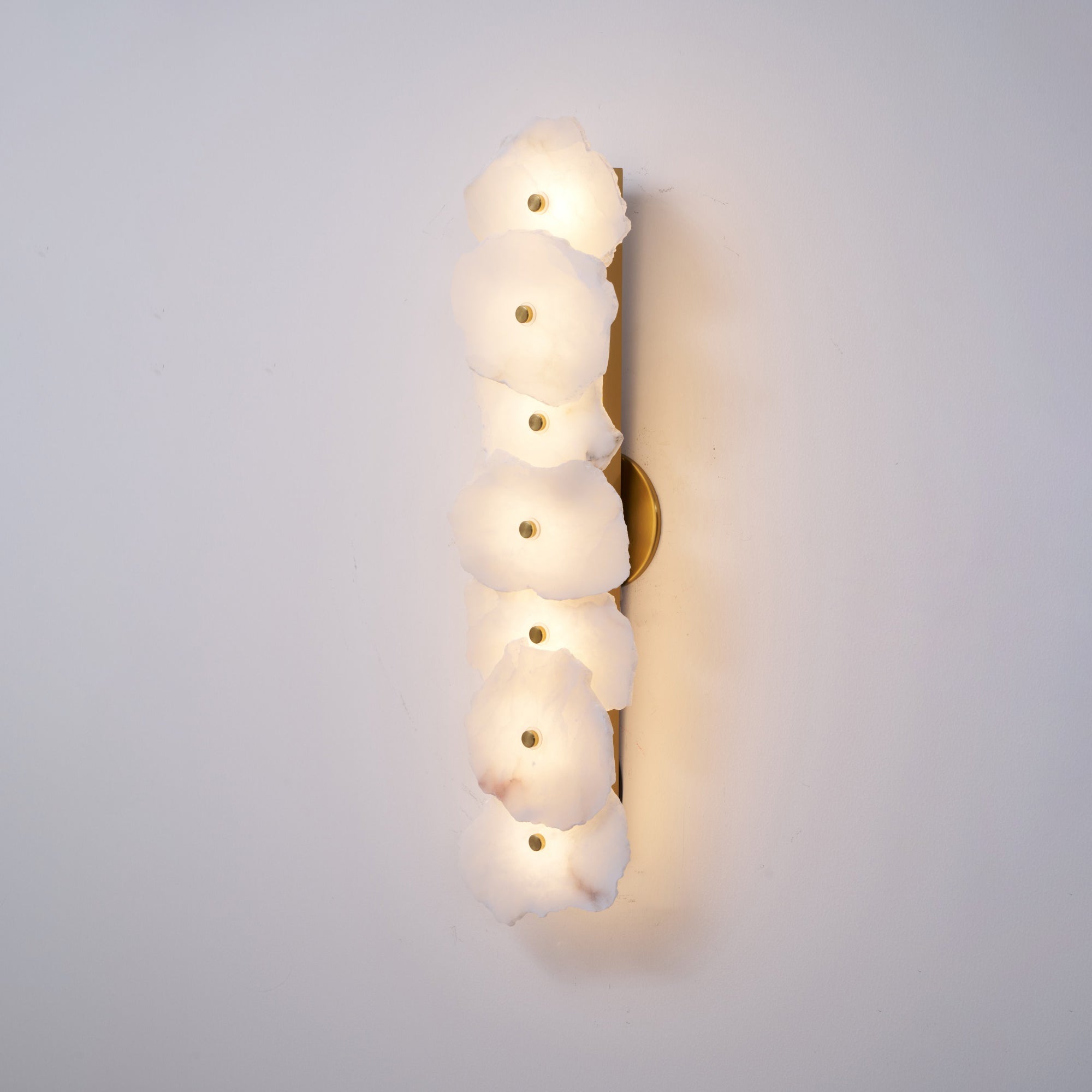 Alaeila Floral Cluster Alabaster Wall Light - Letslighting
