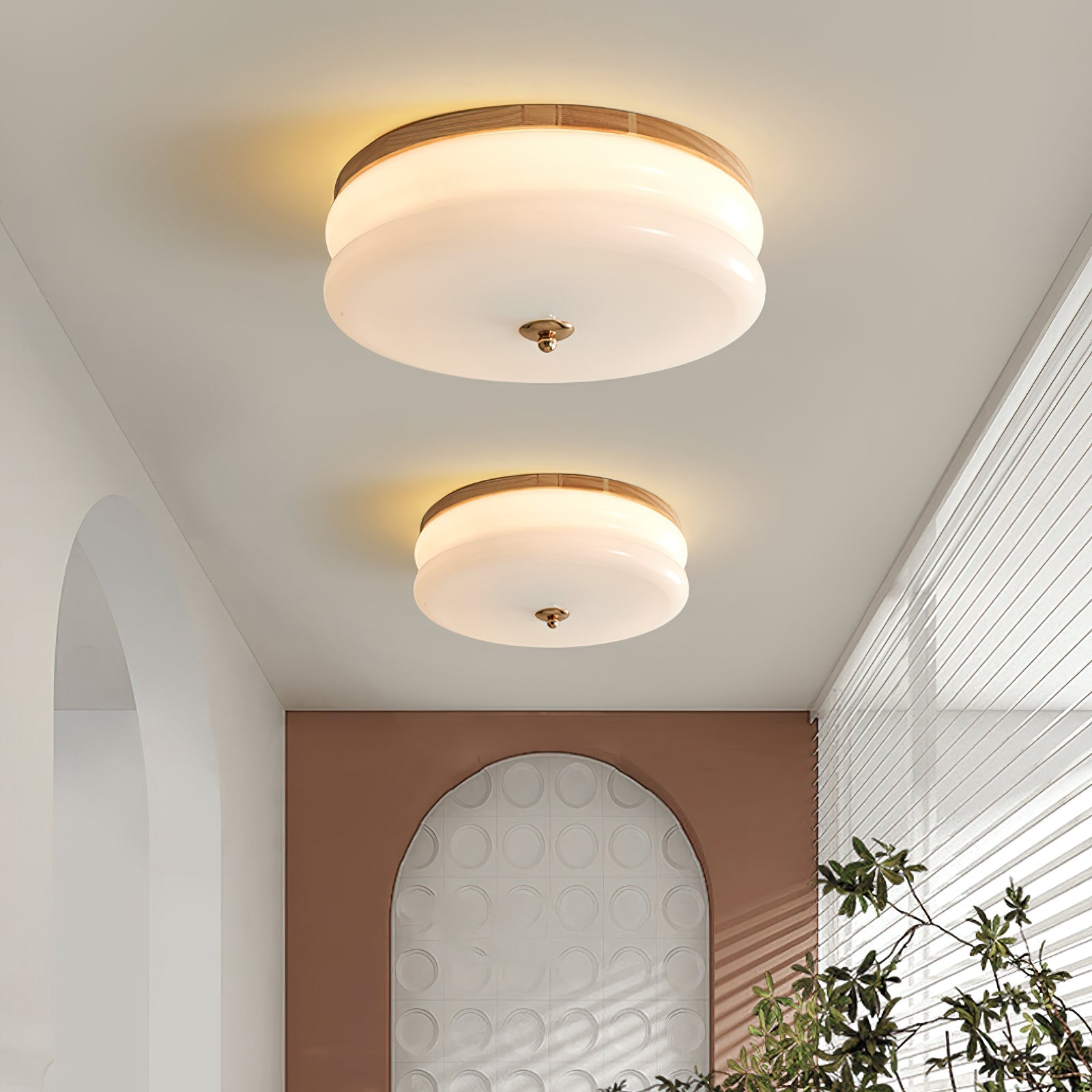 Ceiling Light Double-Layer Glass Disc Walnut Wood Minimalist - Neutralighting