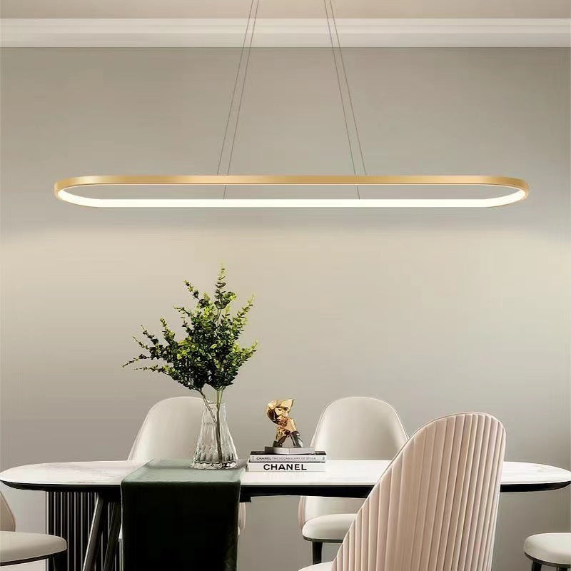 Arisha Minimalist Oval Interior Hanging Pendant Light